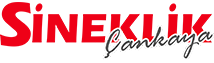 Çankaya Sineklik