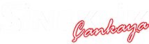 Çankaya Sineklik
